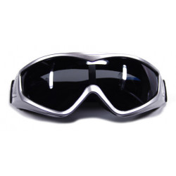 Ski- / Snowboardbrille XTREME PS121 silber smoke