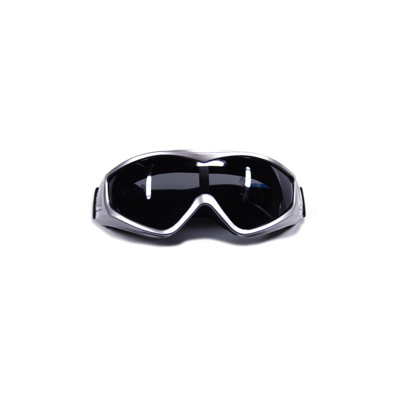 Ski- / Snowboardbrille XTREME PS121 silber smoke