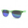 Wayfarer Sonnenbrille FRUITY revo grün