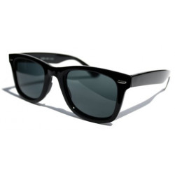 Blues Brothers polarisierte Wayfarer Sonnenbrille small black