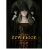 The Twilight Saga: New Moon Schal Howling Wolf