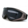 Ski- / Snowboardbrille XTREME PS121 gris